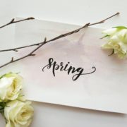 Frühlings-Lieblinge1