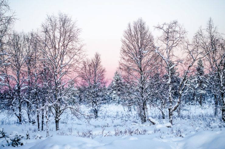 STYX winter wonderland körperpflege naturkosmetik
