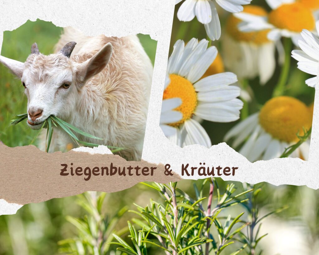 Ziegebutter & Kräuter