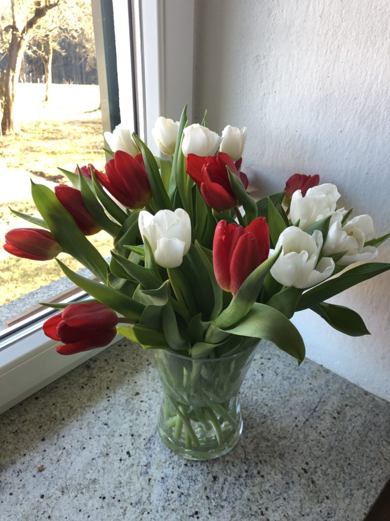 Tulpenliebe