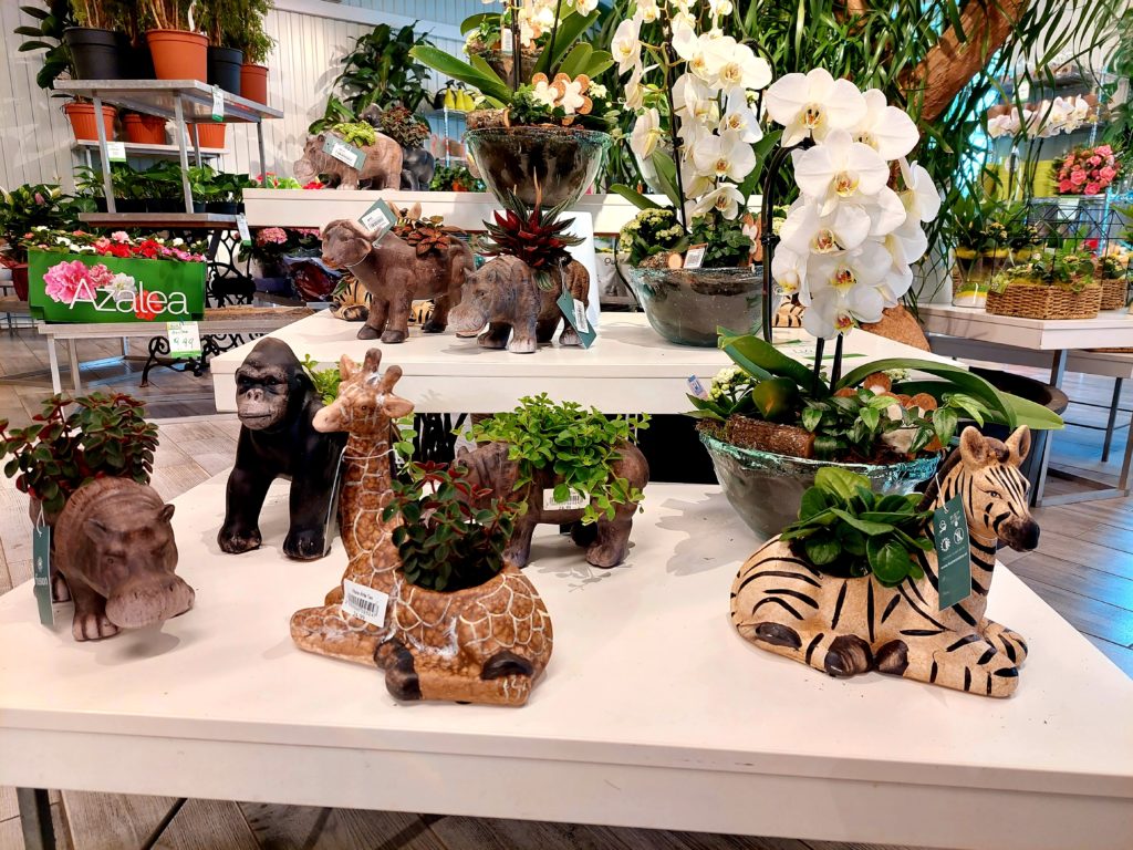 Osterdeko von Blumen B%B Dschungel